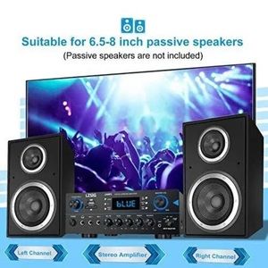 LZSIG New Karaoke amplifier